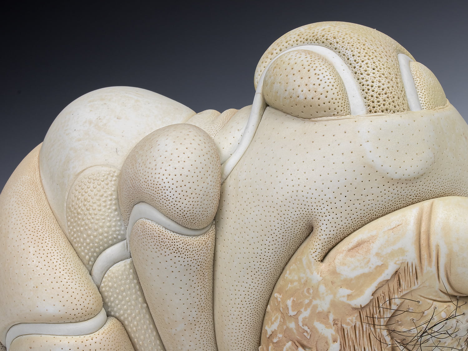 Jason Briggs "Suave" (detail 3). porcelain, hair, and mixed media sculpture ceramics.