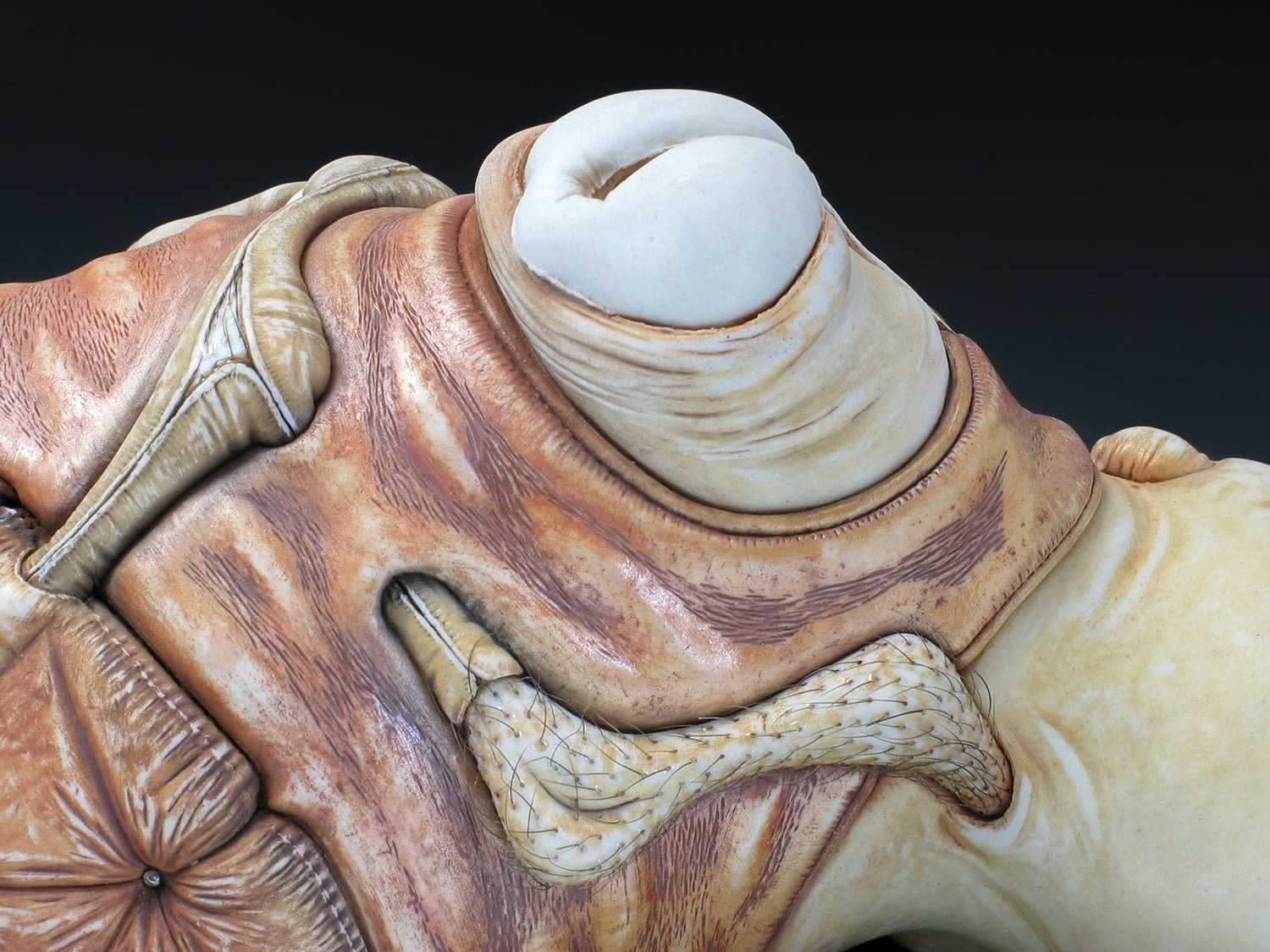 Jason Briggs "Stretch" (detail). Porcelain, hair, and mixed media. Sculptural ceramic art object.